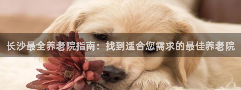 韦德1946官方网站