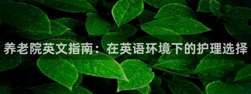 韦德游戏注册需要什么