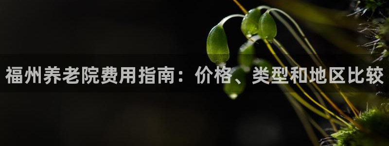 韦德观战总决赛G3