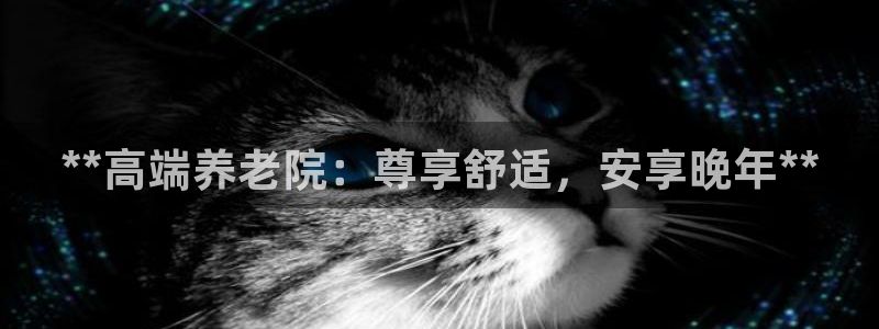 韦德 官网
