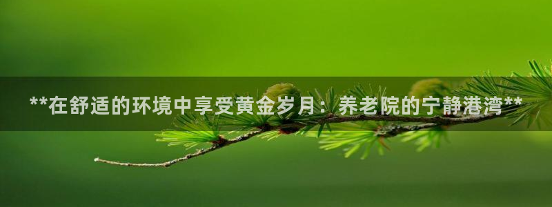 韦德1946体育官方入口