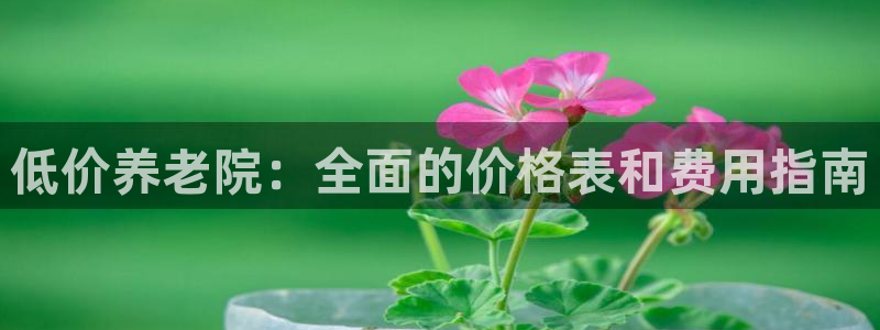 韦德下载