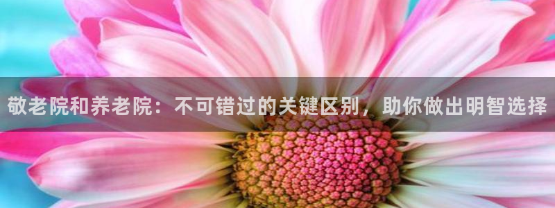 韦德下载