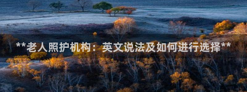 韦德2014