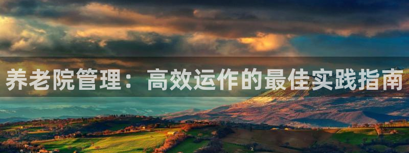 韦德新品