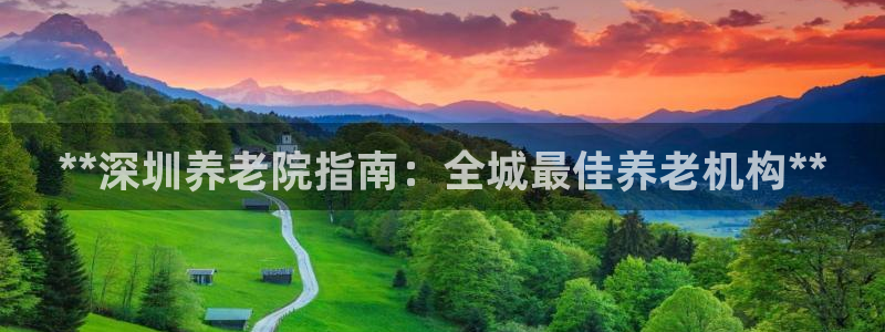 韦德网站是多少