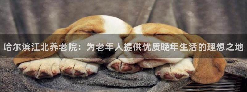 韦德是哪一届