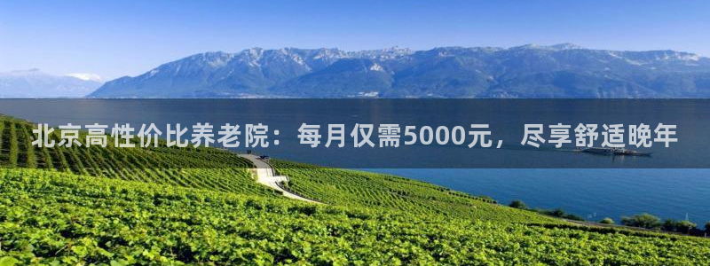 韦德属于什么