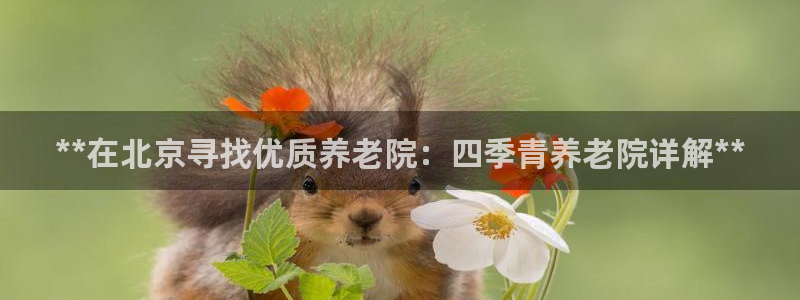 韦德1946中文官网