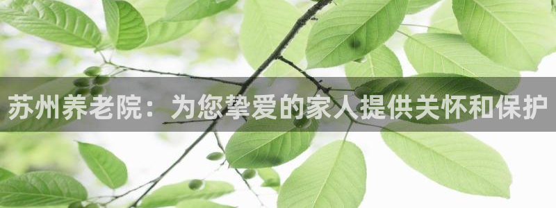 韦德 网站
