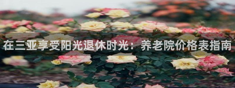 韦德1946官方网站
