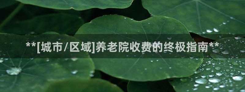 韦德官方网址