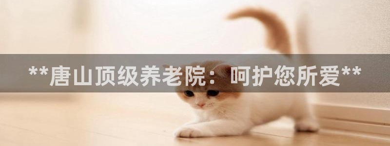 韦德bietview官网