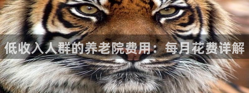韦德 网址