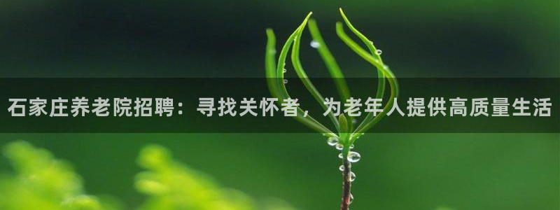 韦德1946bet