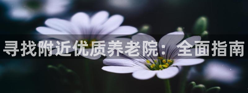 韦德1946