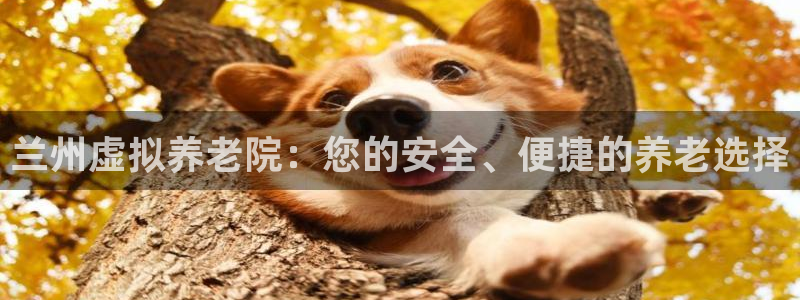 韦德1946体育