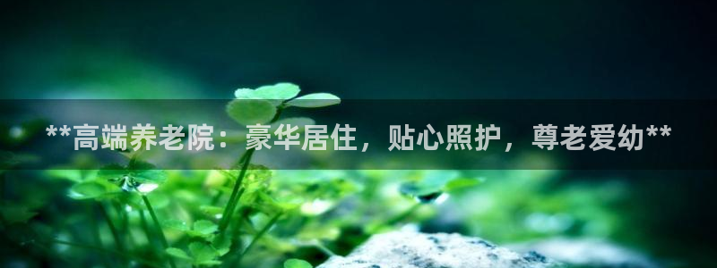1946韦德找回密码