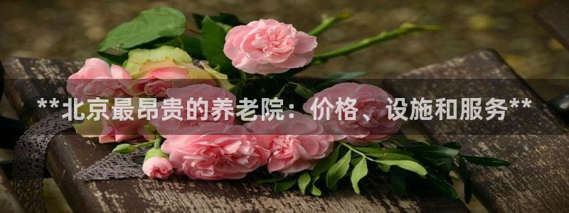 韦德 网址