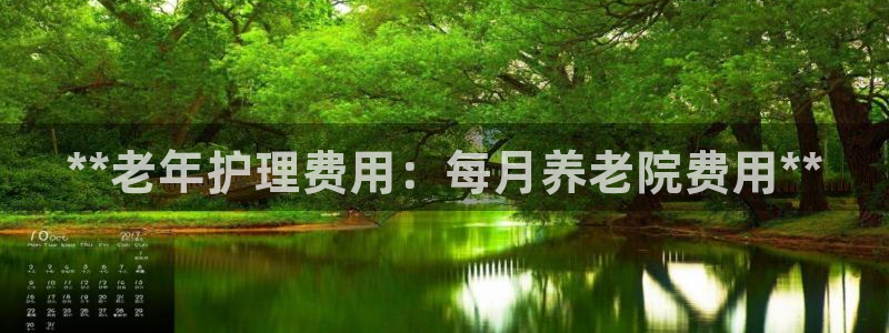 韦德观战总决赛G3