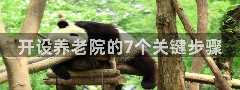 韦德网站是多少