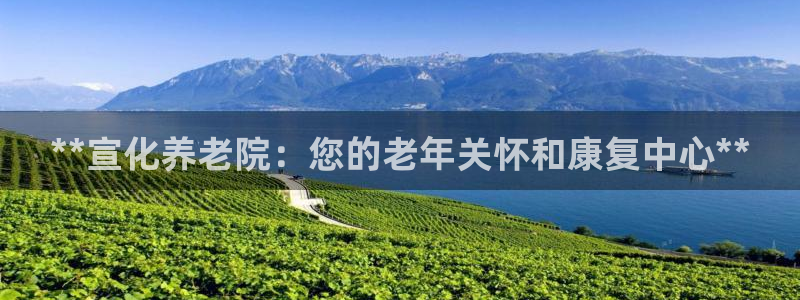韦德网址