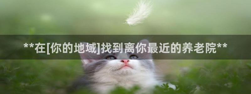 韦德 官网