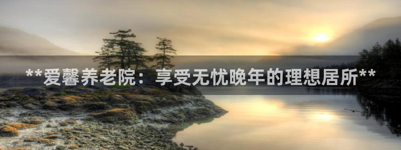 韦德1946官方