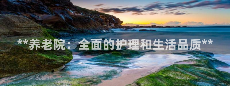 韦德游戏是什么