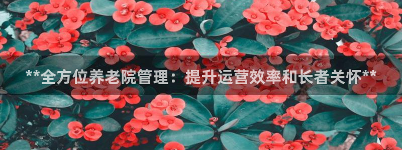韦德网站官网