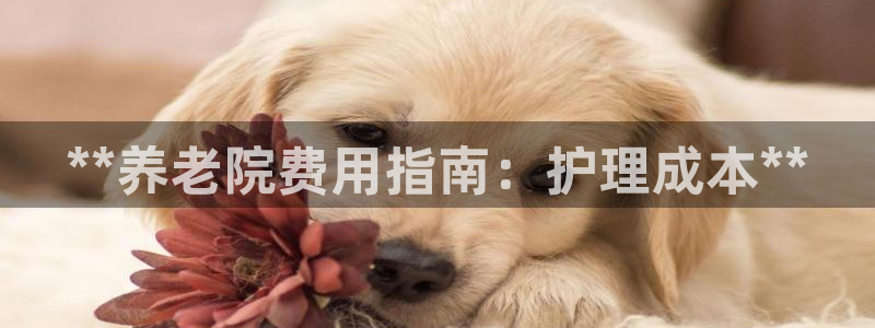 韦德观战总决赛G3