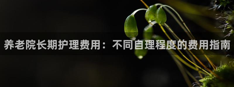 韦德1946网址