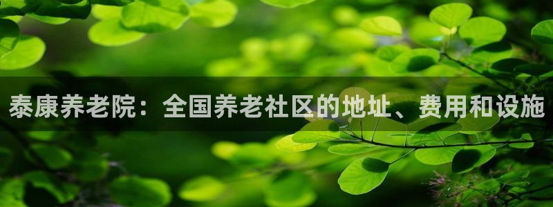 韦德 官网