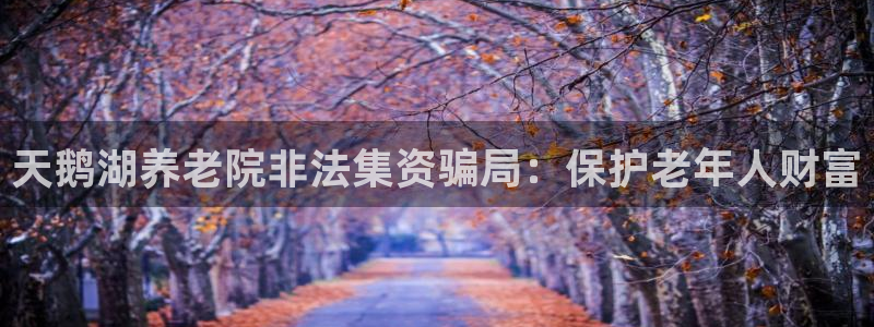韦德8月22日开启中国行