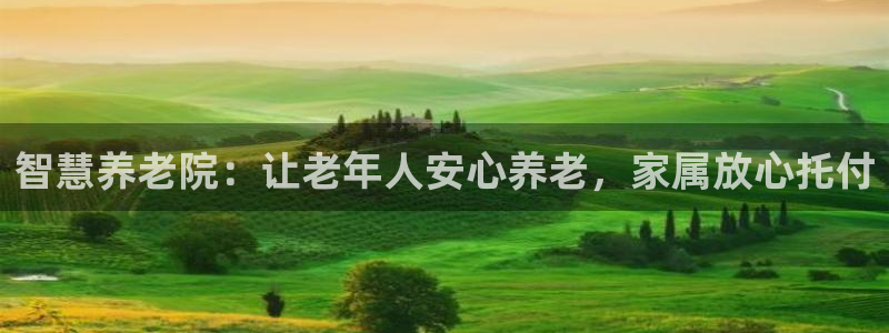 韦德1946备用网站