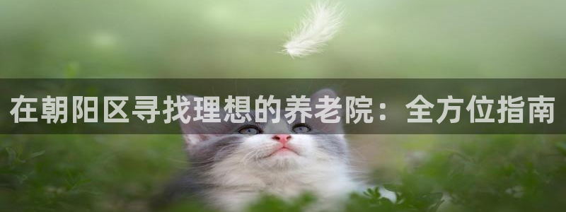 韦德1567