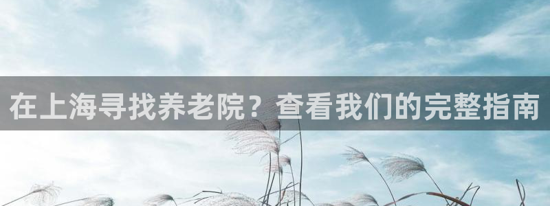 韦德网址是多少