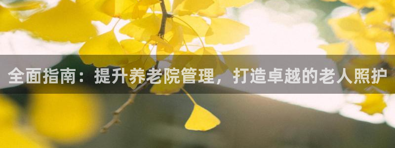 韦德1946游戏