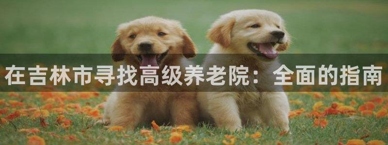 韦德1946游戏