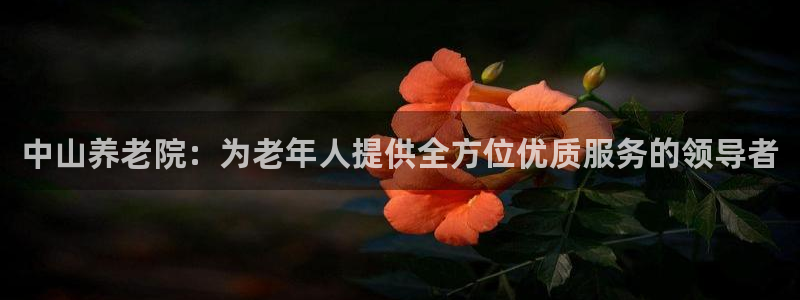 bet韦德1946