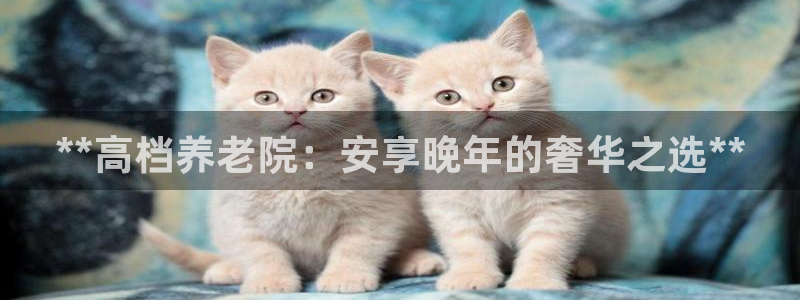 韦德网址