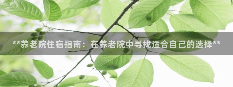 韦德1946官方网站