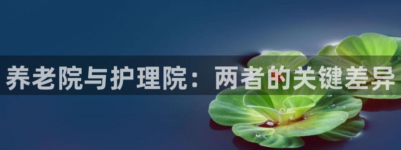 韦德1946源自英国