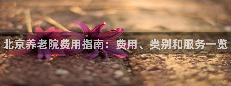韦德游戏大厅