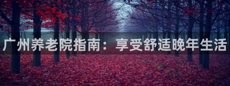 韦德1946中文官网