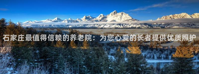 韦德合集