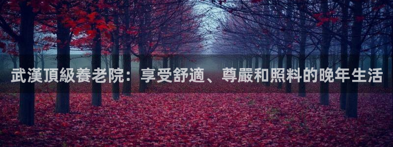 韦德1946娱乐手机版