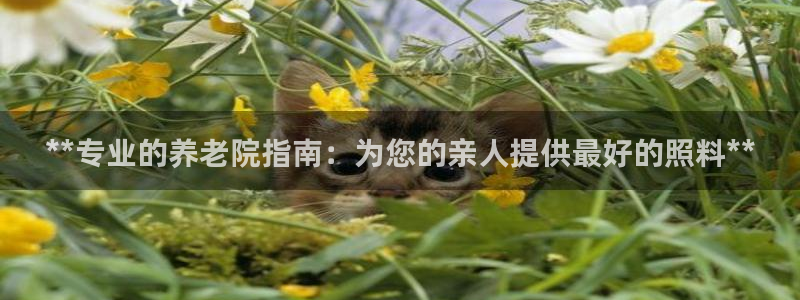 1946韦德官方网站