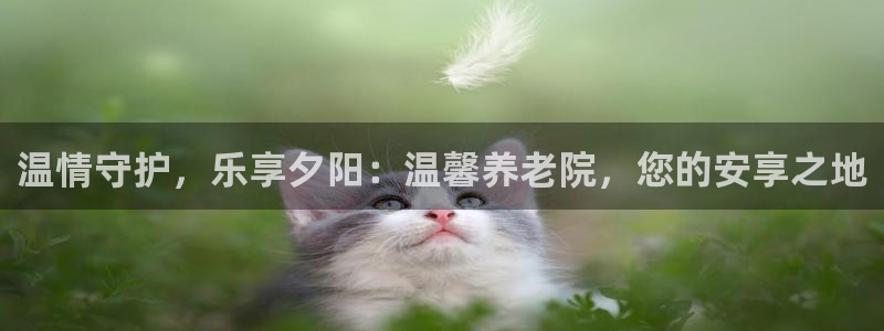 韦德1946手机网址