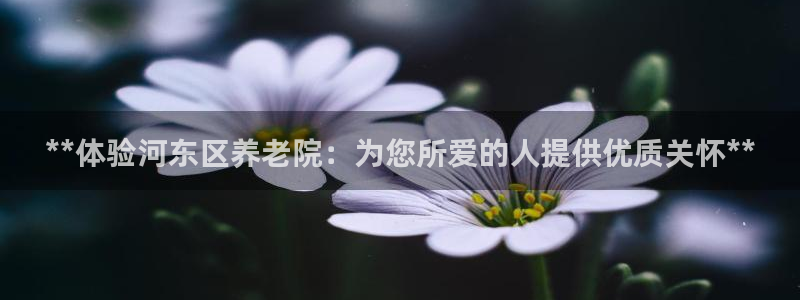 韦德betvictor